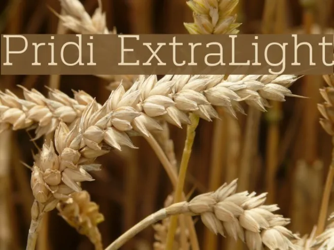 Pridi ExtraLight Example 1