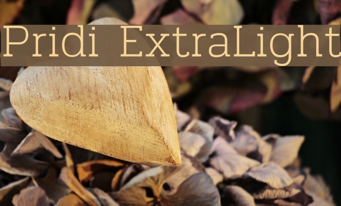 Pridi ExtraLight Font examples