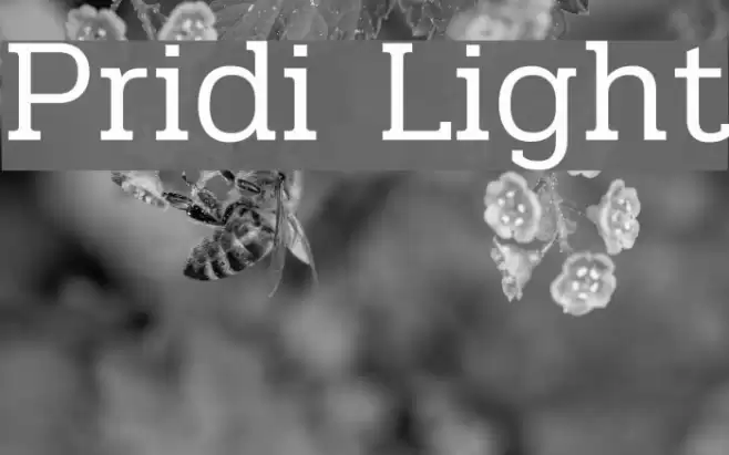 Pridi Light Font examples