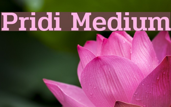 Pridi Medium Font examples