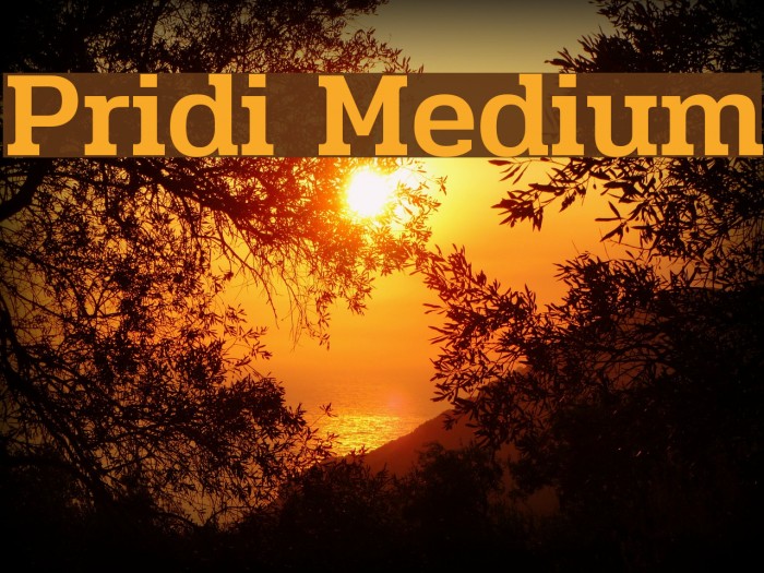 Pridi Medium Font examples