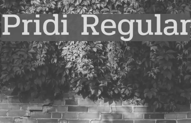 Pridi Regular Font examples