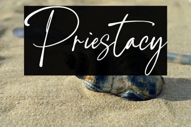 Priestacy Example 1
