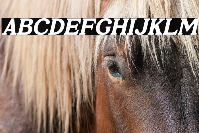 Prigille Hands Italic Example 2