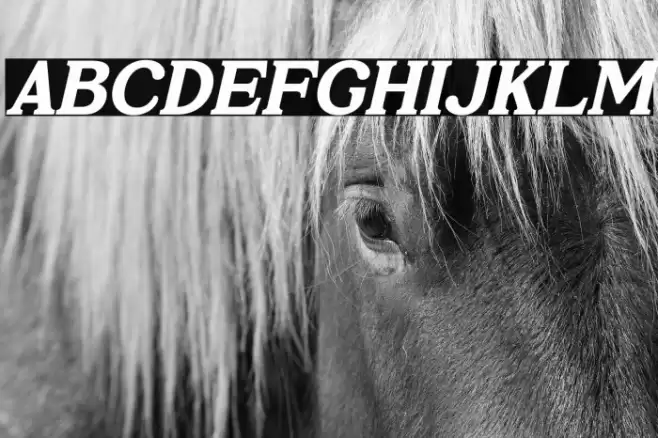 Prigille Hands Italic Font examples