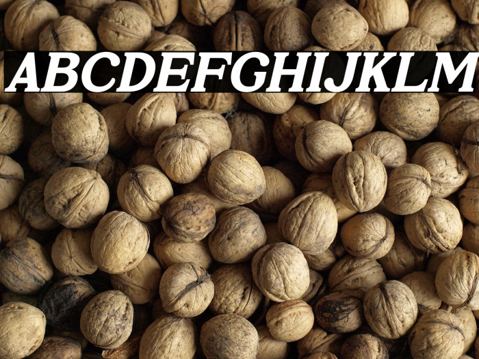 Prigille Hands Italic Example 3