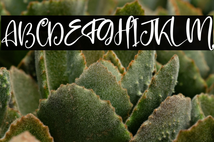 Prilista Delrosa Example 3