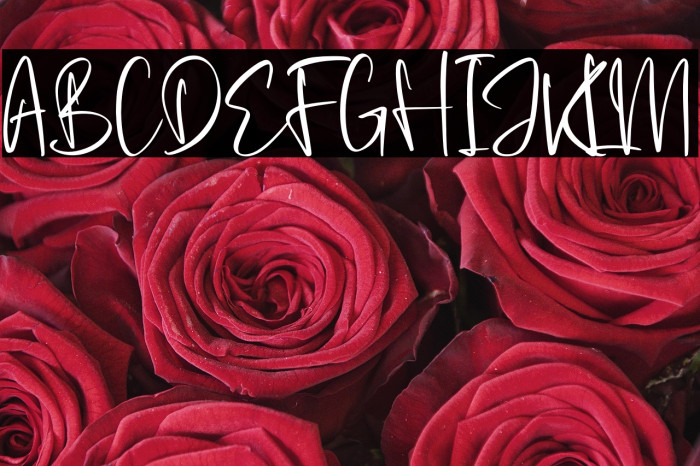 Prilistale Example 1