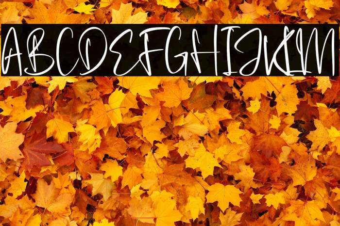 Prilistale Example 3