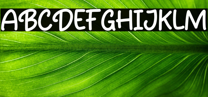 Prilly Monly Example 3