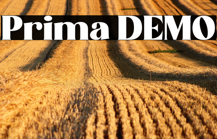 Prima DEMO Example 1