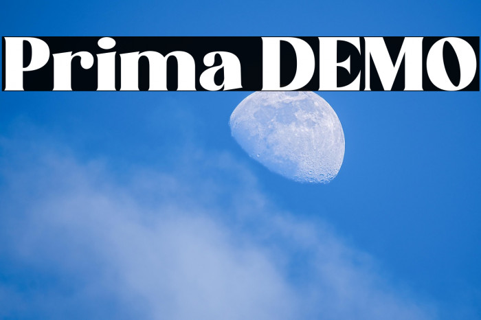 Prima DEMO Example 2