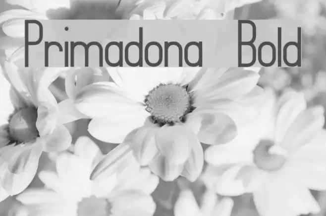 Primadona Bold Font examples