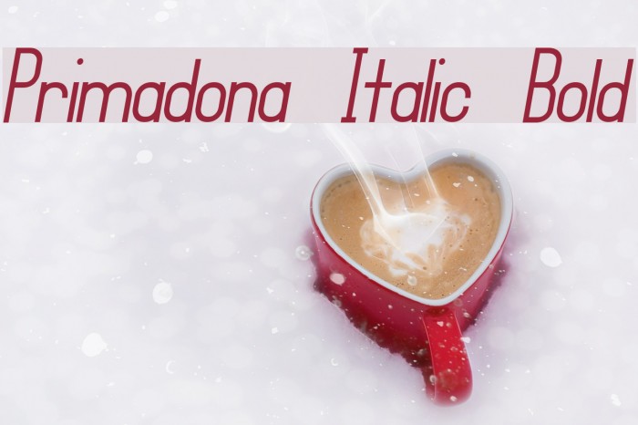 Primadona Italic Bold Example 1
