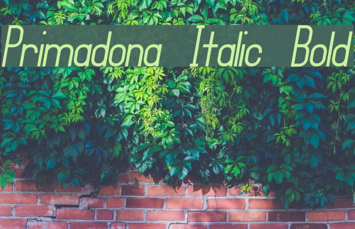 Primadona Italic Bold Example 3