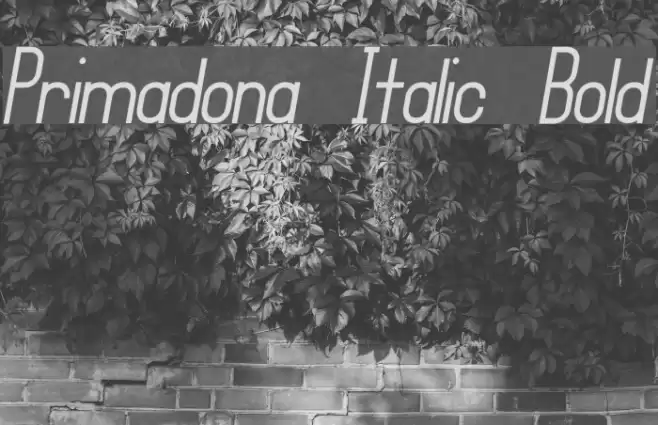 Primadona Italic Bold Font examples