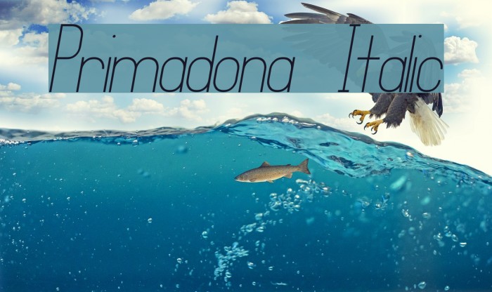 Primadona Italic Font examples