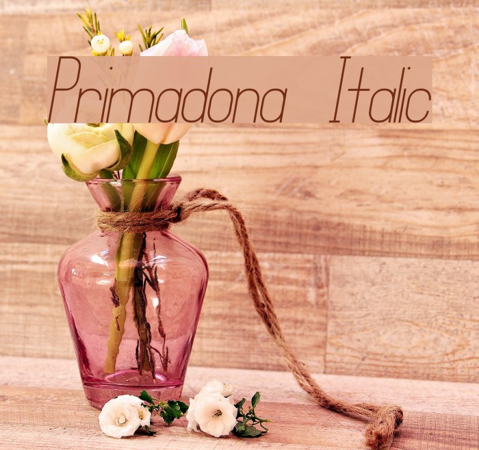 Primadona Italic Font examples