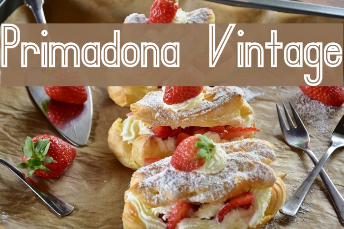 Primadona Vintage Font examples