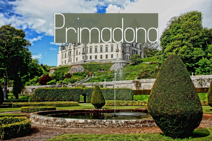 Primadona Font examples