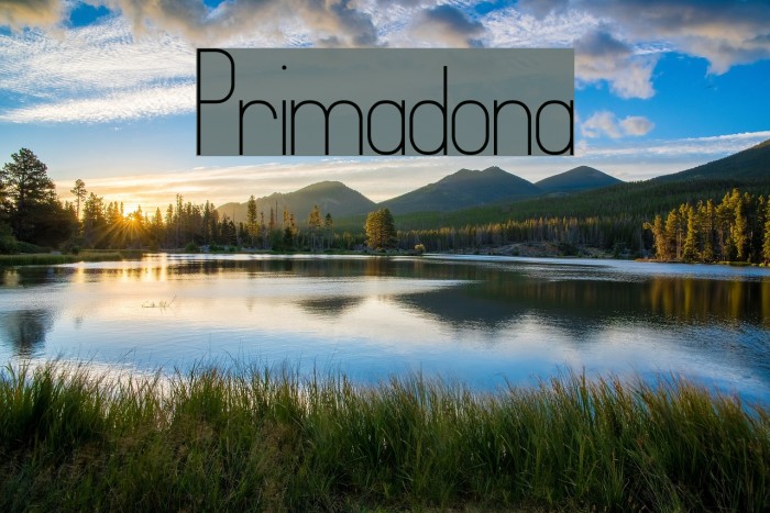 Primadona Font examples