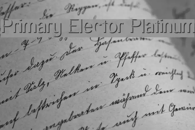 Primary Elector Platinum Font examples