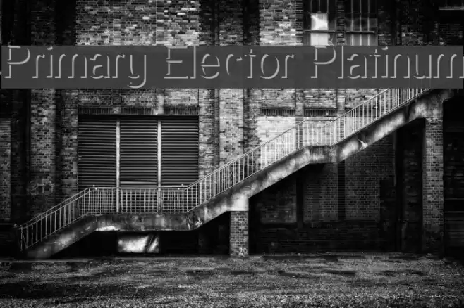 Primary Elector Platinum Font examples