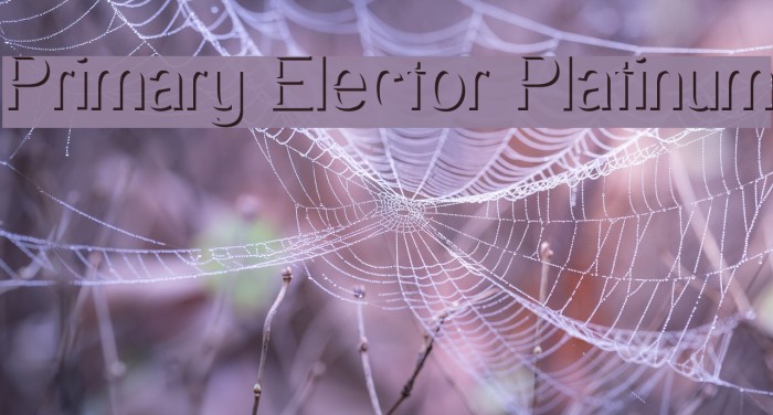 Primary Elector Platinum Font examples