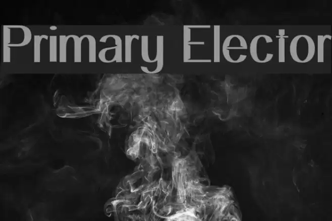 Primary Elector Font examples