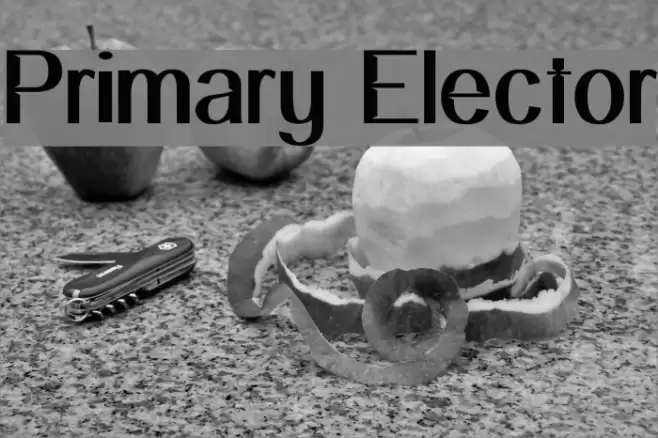 Primary Elector Font examples