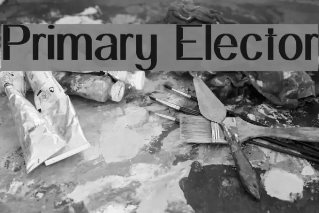 Primary Elector Font examples