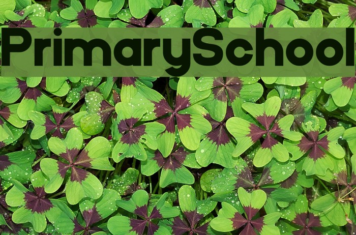 PrimarySchool फ़ॉन्ट examples