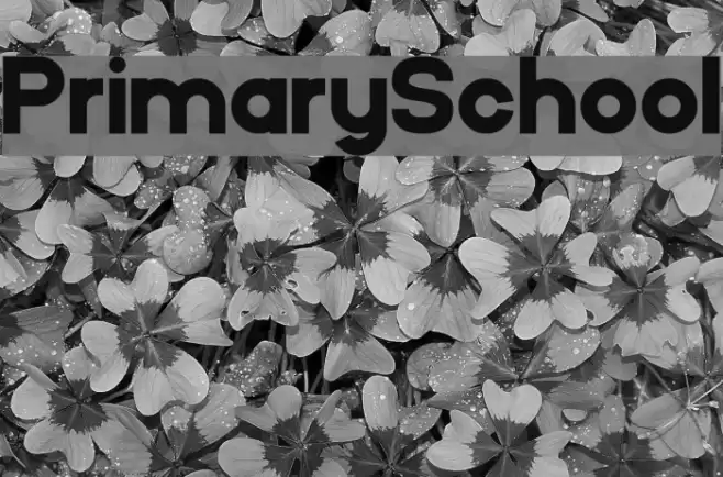 PrimarySchool Font examples