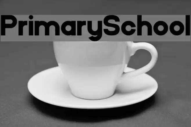 PrimarySchool Font examples