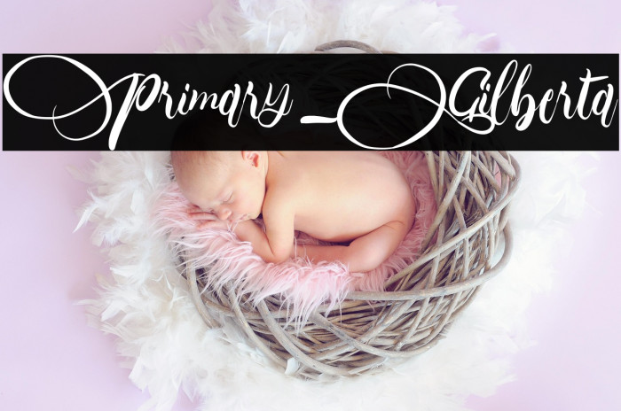 Primary_Gilberta Example 1