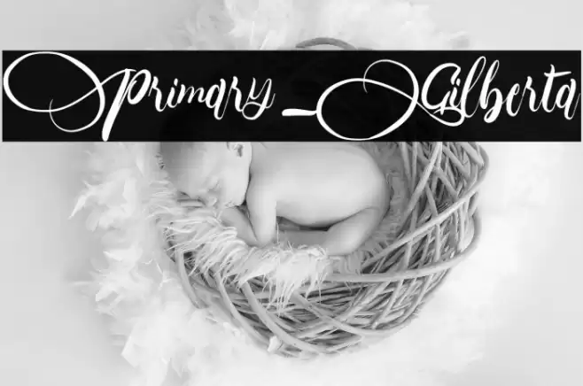 Primary_Gilberta Font examples