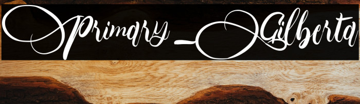 Primary_Gilberta Example 3