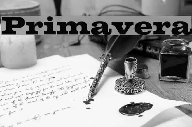 Primavera Fonte examples