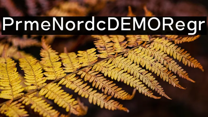 Prime Nordic DEMO Regular Example 2
