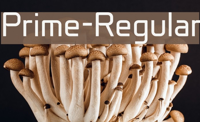 Prime-Regular Font examples