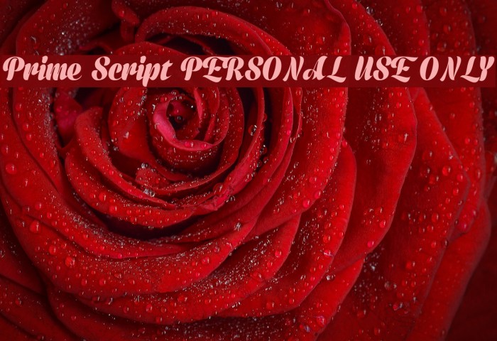 Prime Script PERSONAL USE ONLY Font examples
