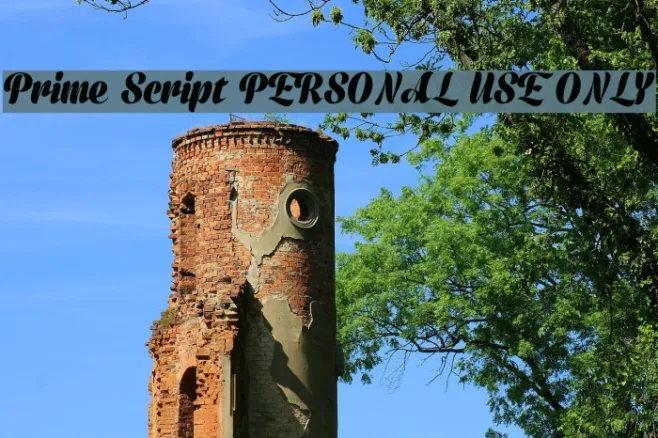 Prime Script PERSONAL USE ONLY Example 2