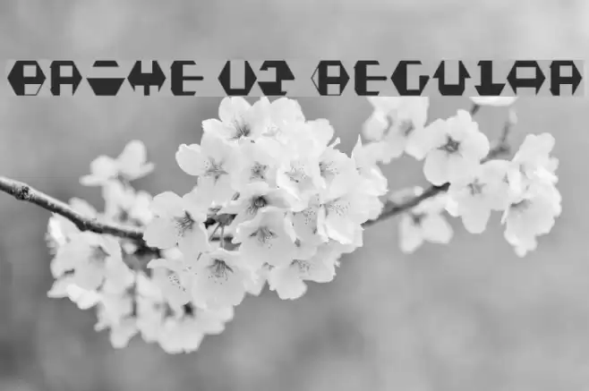 Prime v2 Regular Font examples