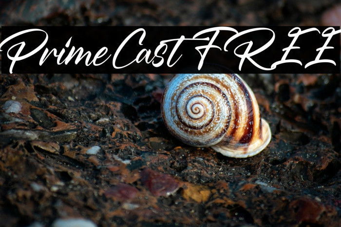 PrimeCast FREE Example 2