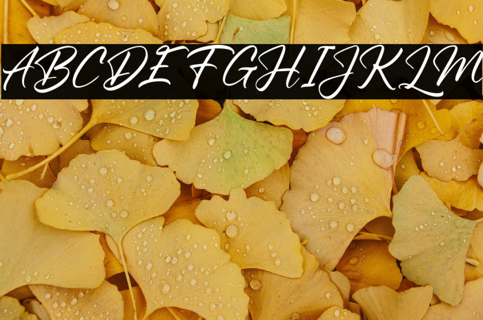 PrimeCastFREE Example 3