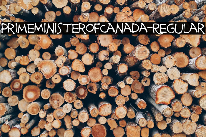 PrimeMinisterofCanada-Regular Example 3