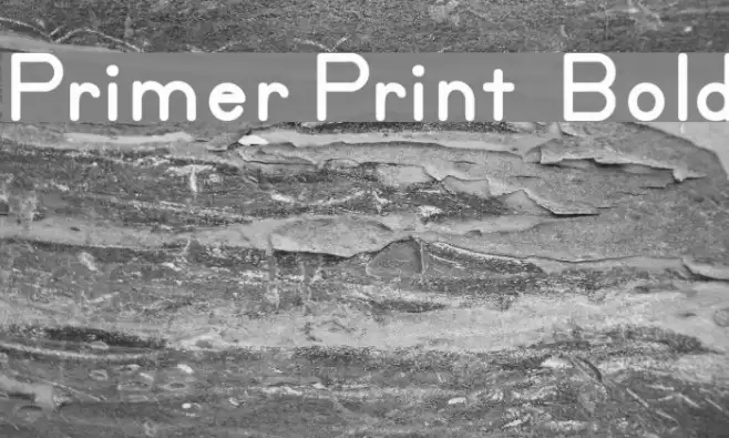 Primer Print  Bold Fuentes examples