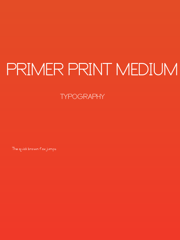 Primer Print Medium Poster