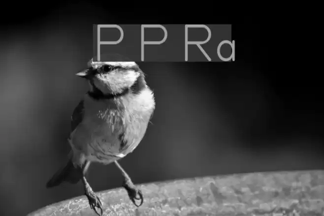 Primer Print Regular Font examples