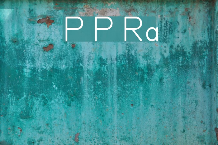 Primer Print Regular Font examples